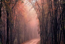 瓦伦西亚vs马略卡：加亚、马马尔达什维利首发，塞尔希-达德尔、浅野拓磨出战.