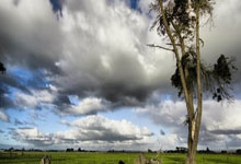 瓦伦西亚vs马略卡:加亚、马马尔达什维利首发,塞尔希-达德尔、浅野拓磨出战.