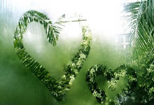 亚洲十大专业足球场:中国独占5席.