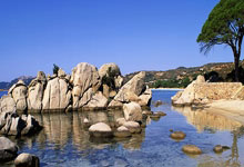 中国男网两人跻身世界前50创历史.